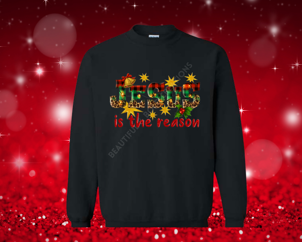 Jesus Is The Reason Sweatshirt